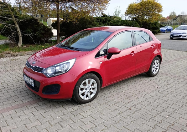 Kia Rio cena 17300 przebieg: 112500, rok produkcji 2014 z Kraków małe 154